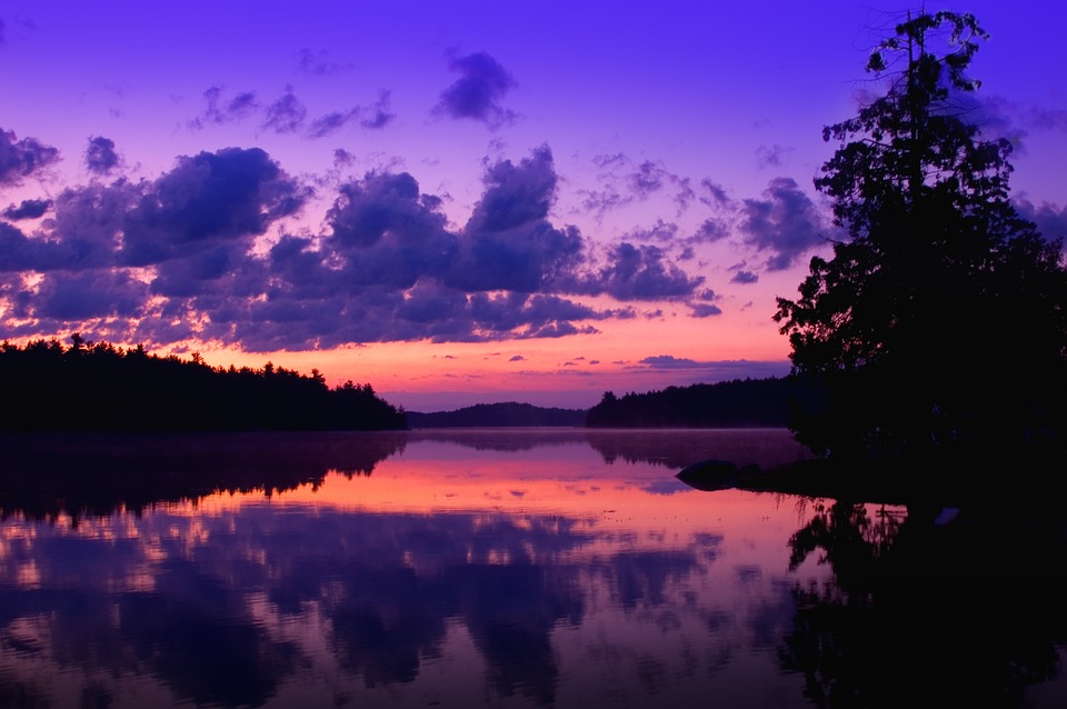 purple-1052067_960_720
